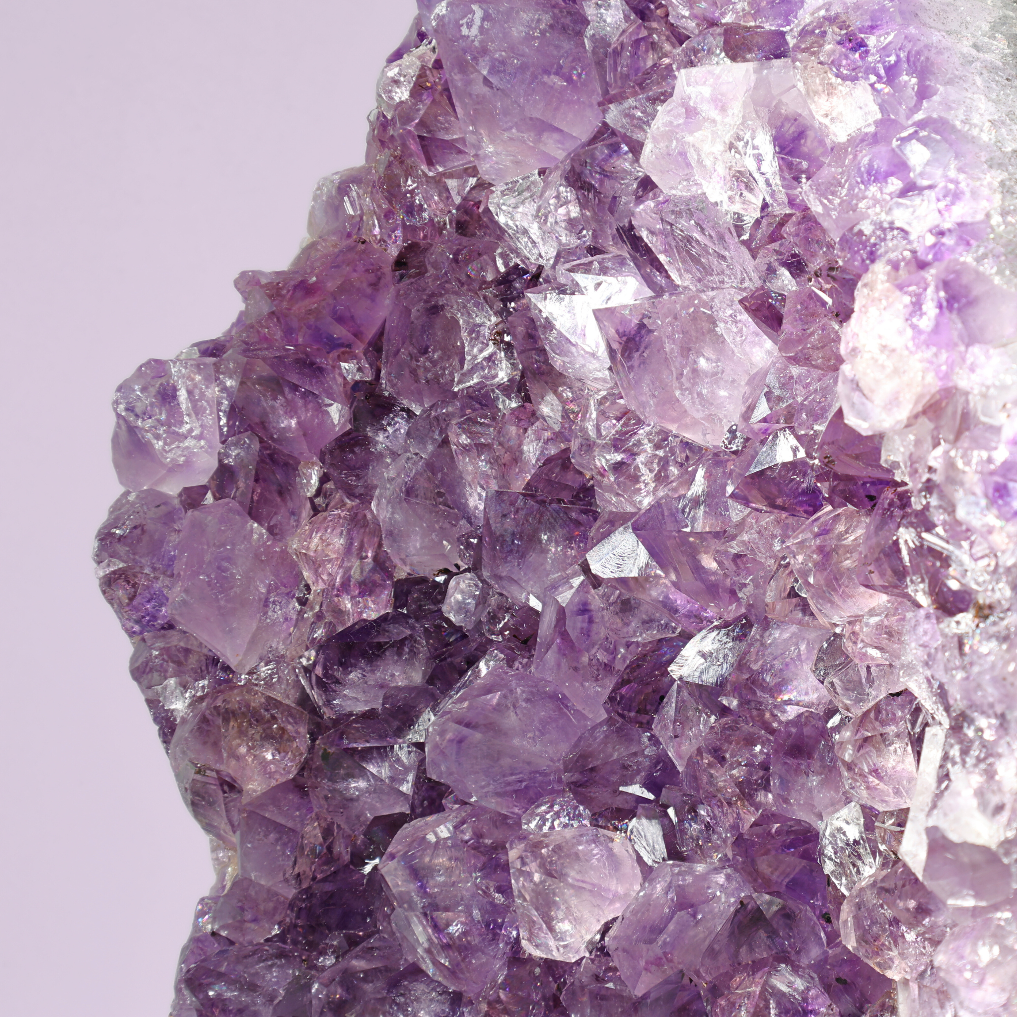 Große Amethyst Druse auf Ständer