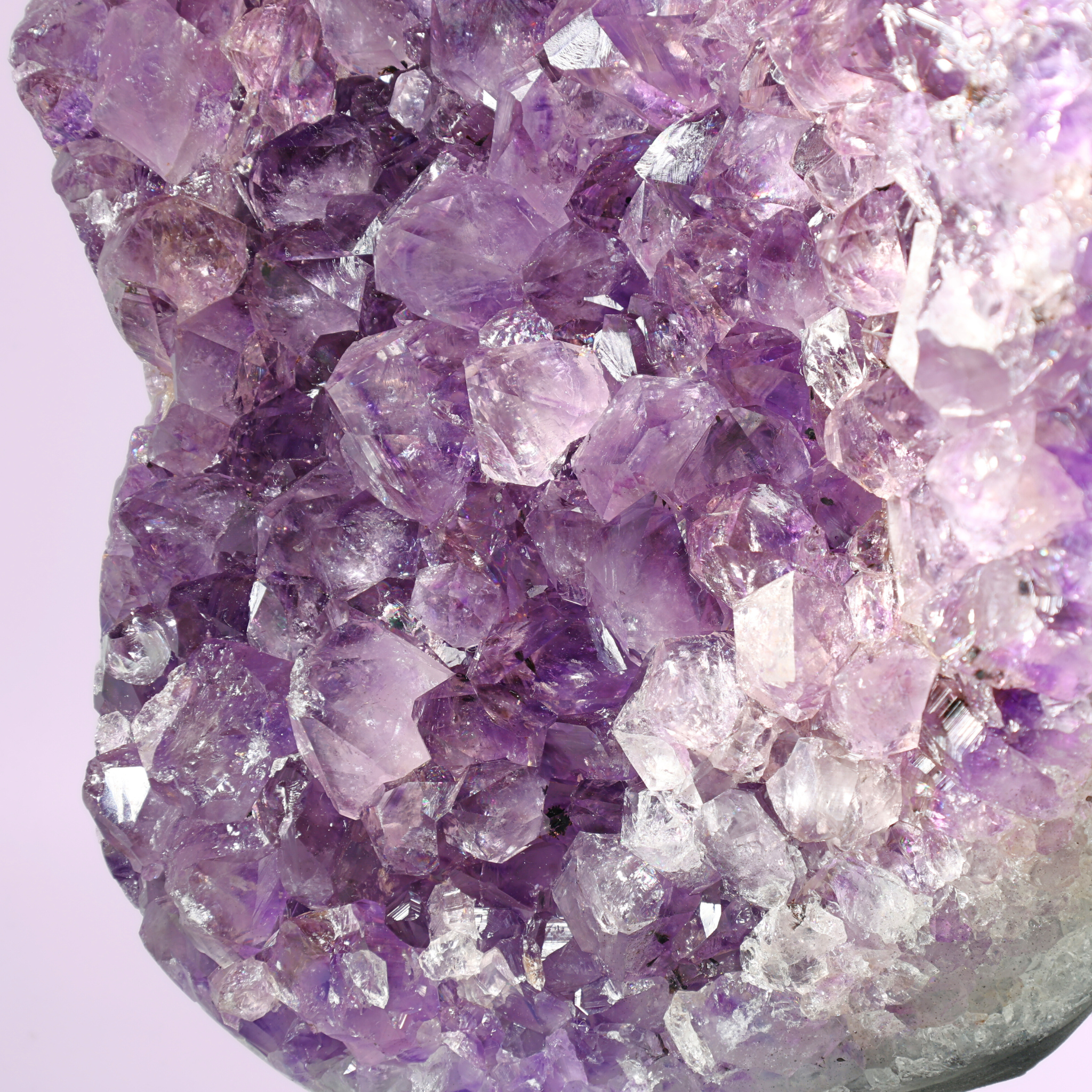 Große Amethyst Druse auf Ständer