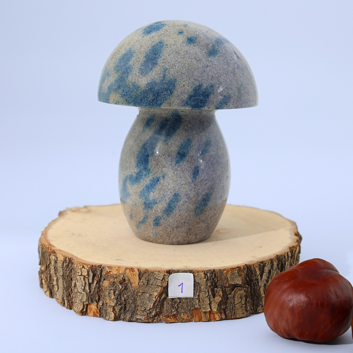 Azurit Pilze - #1 521g