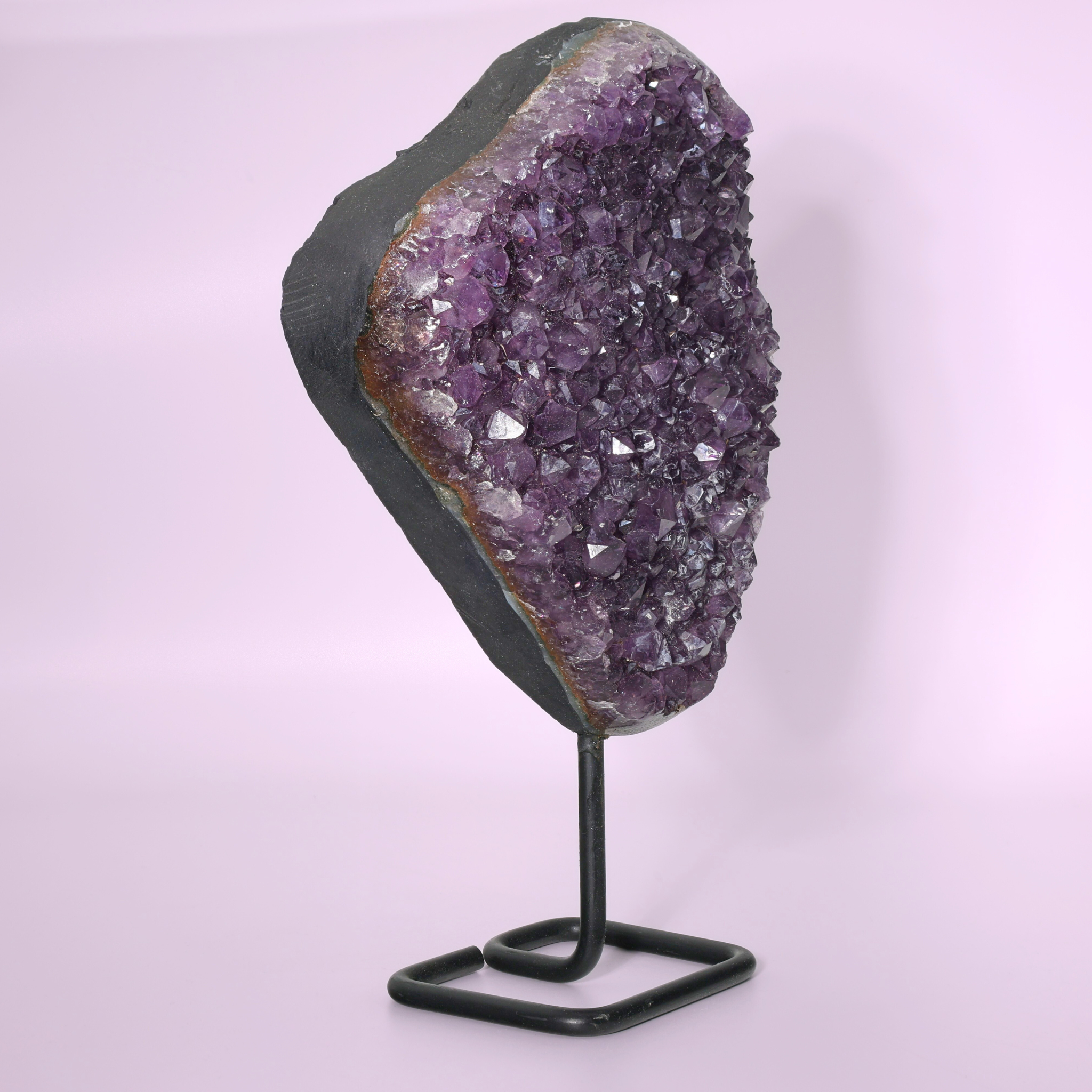 Große Amethyst Druse auf Ständer