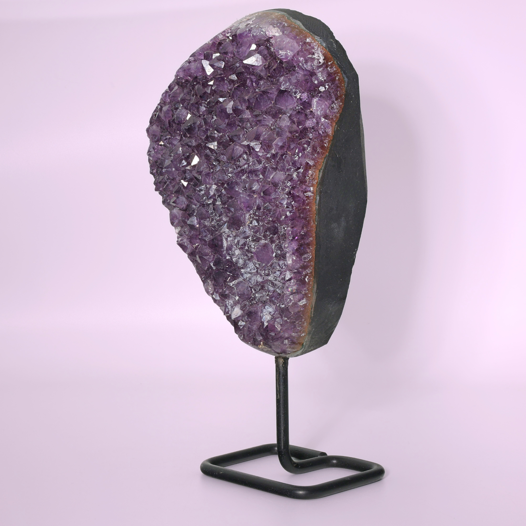 Große Amethyst Druse auf Ständer