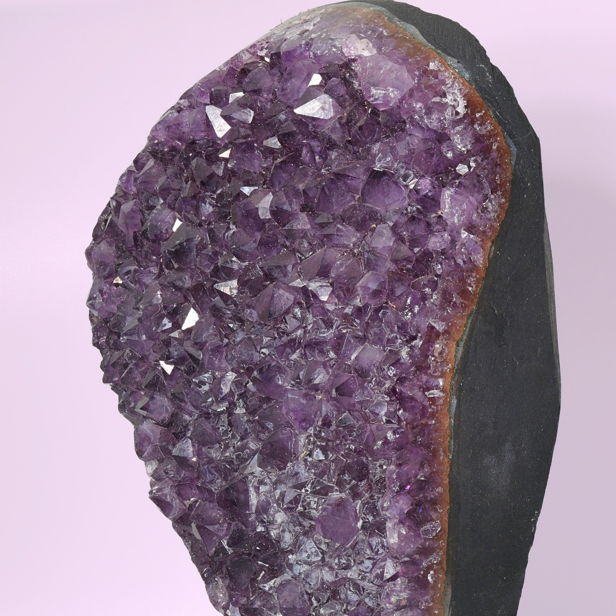 Große Amethyst Druse auf Ständer