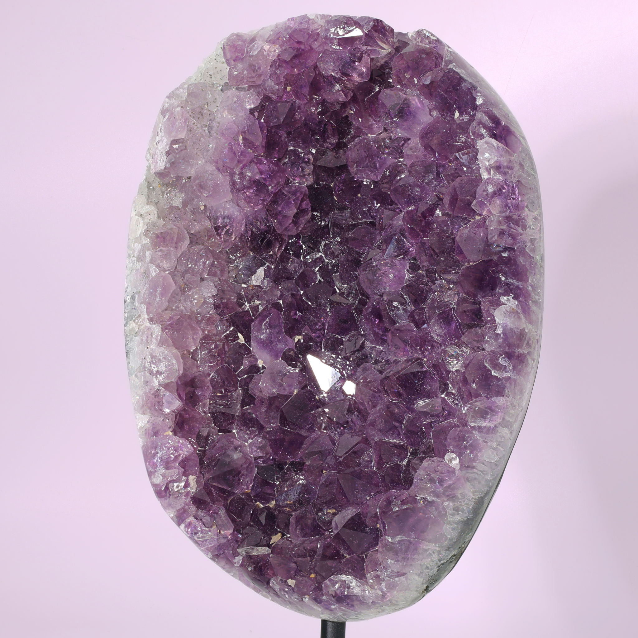 Große Amethyst Druse auf Ständer