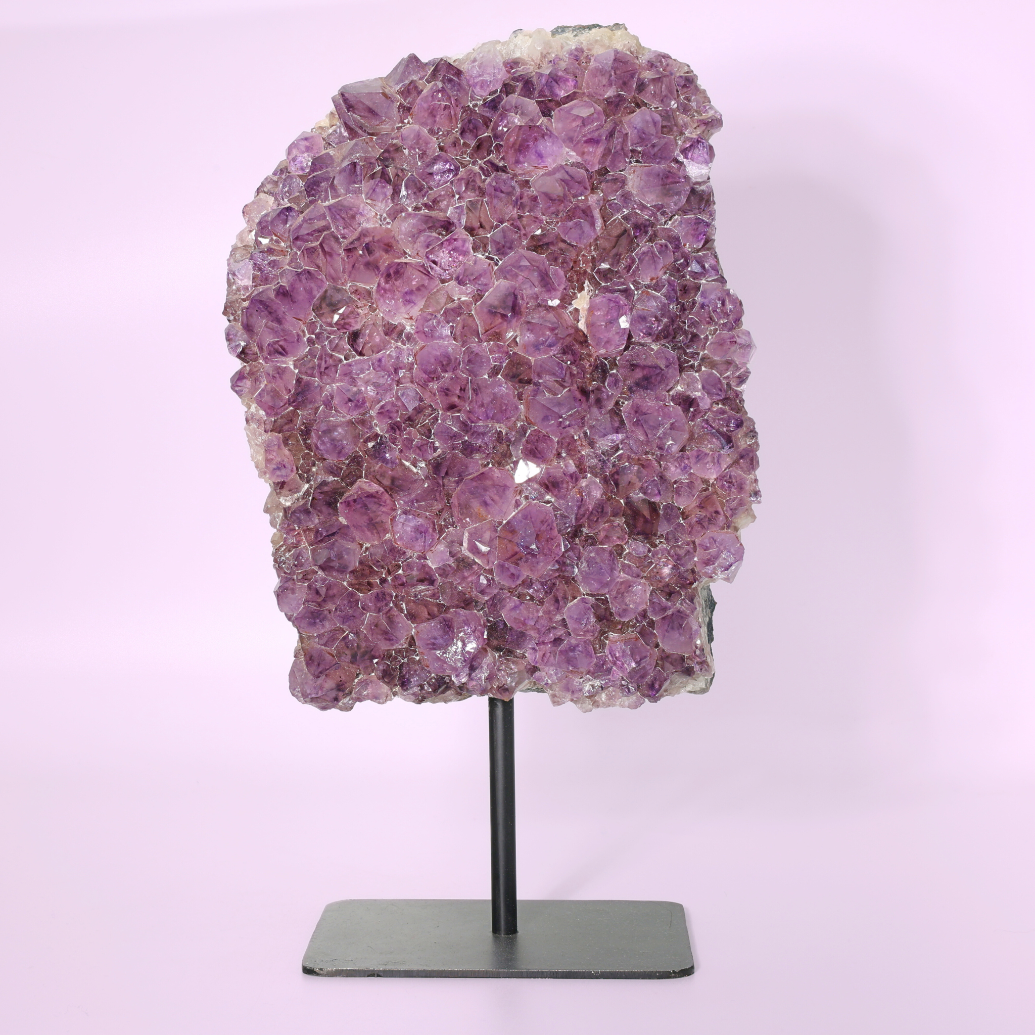 Große Amethyst Druse auf Ständer