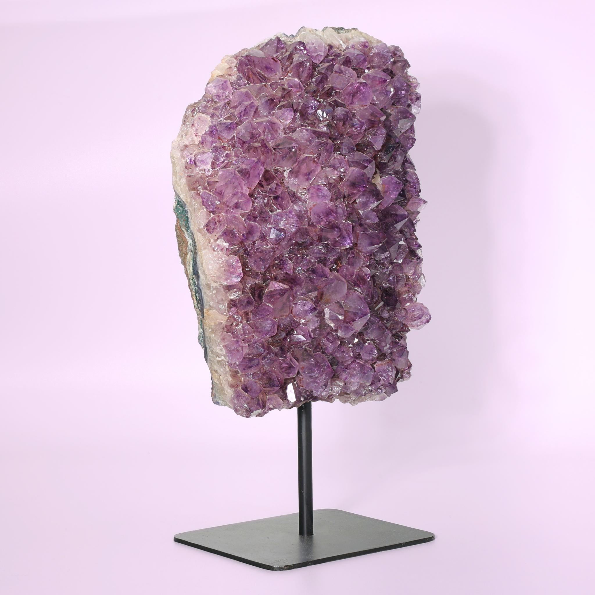 Große Amethyst Druse auf Ständer