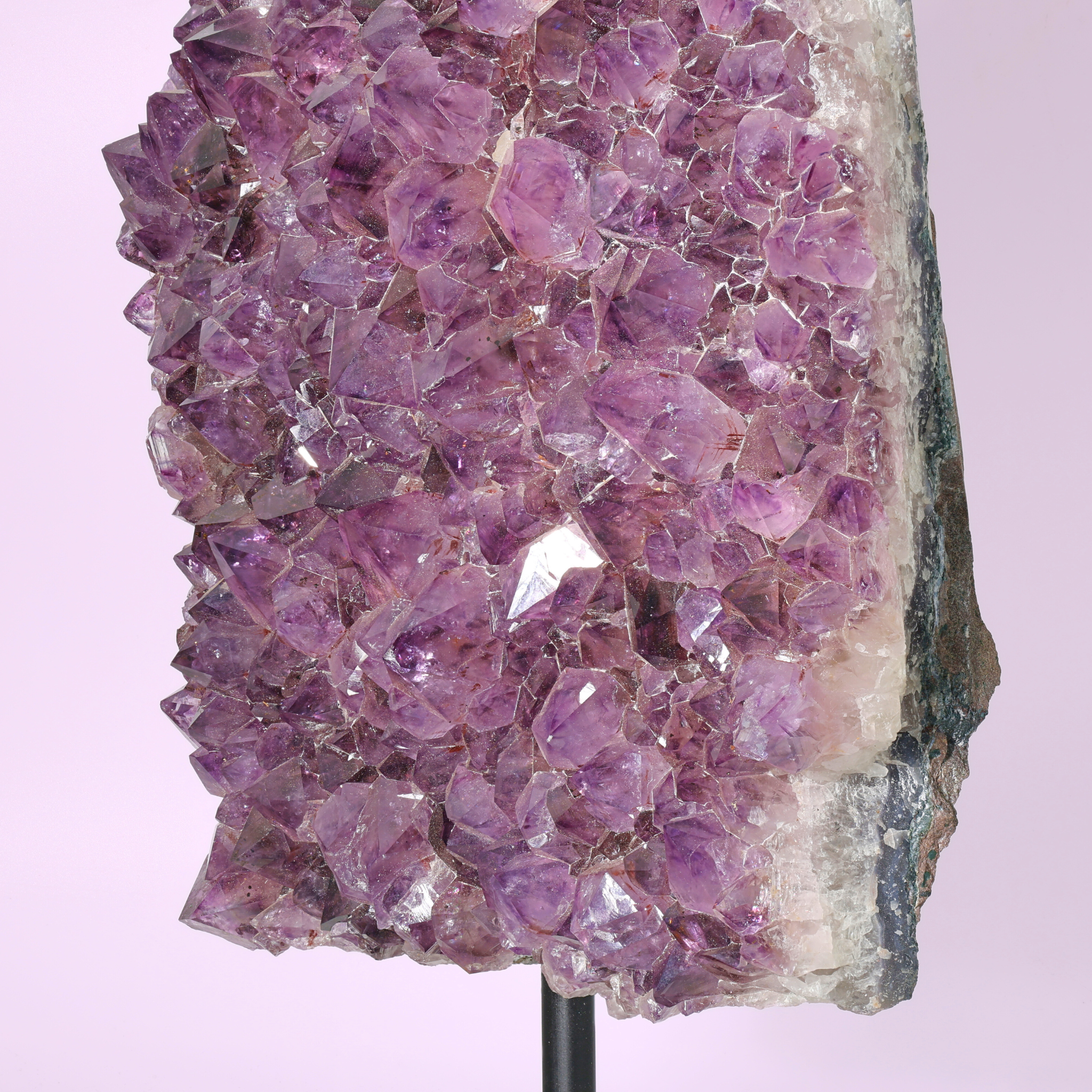 Große Amethyst Druse auf Ständer